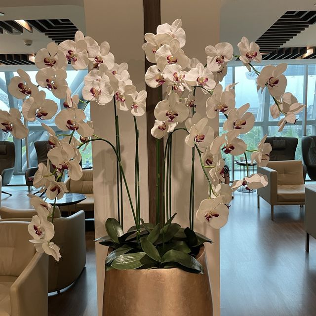 Turkish Lounge 