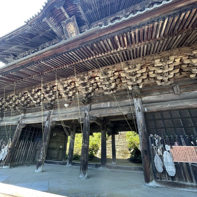 紫陽花が素敵なお寺