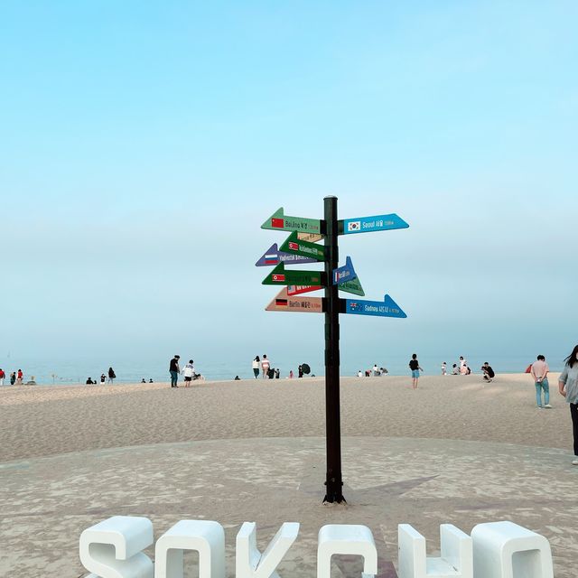 ⭐️속초 여행 인생샷 필수코스⭐️ 속초해수욕장 대관람차