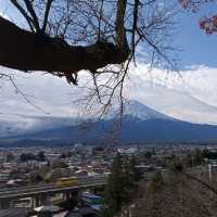 東京暢遊