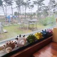 딱새우회가 정말 싱싱하고 맛있는 제주 '우미노식탁'