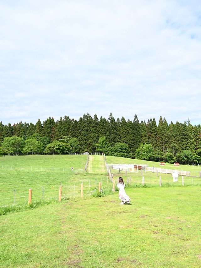 小岩井農場