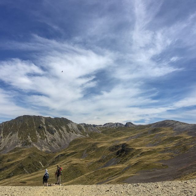 뉴질랜드 남섬🇳🇿 로버트 산맥을 따라 걸어보아요⛰
