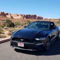 Stunning Red Rocks of Arches National Park