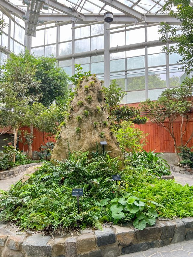 나무들과 함께 힐링하기 좋은 식물원🌳💚