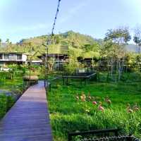 ร้าน LYN cafe @นครศรี