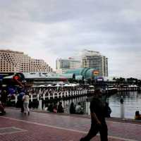 The Popular Sydney Darling Habour