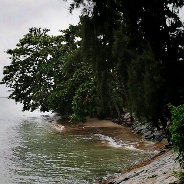 Singapore Coastal Walk In The East