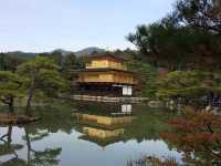 Golden Autumn at Golden Pavilion 