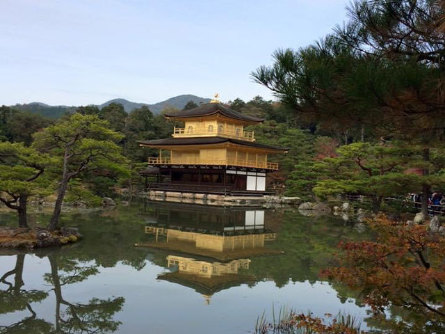 Golden Autumn at Golden Pavilion 