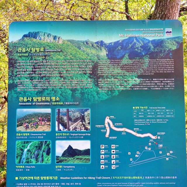 🍁 한라산 단풍구경 관음사 탐방로 어때요?