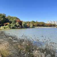 Irwol Lake View in Autumn