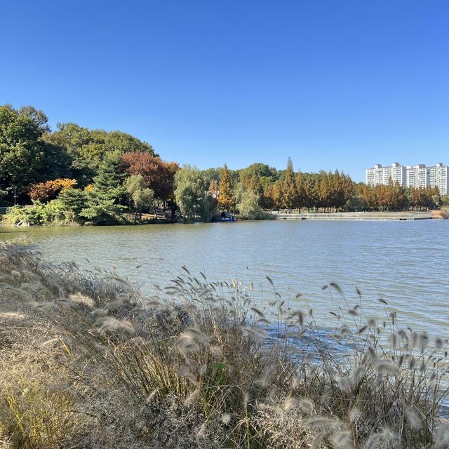 Irwol Lake View in Autumn