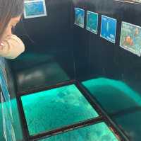 石垣島川平灣玻璃船