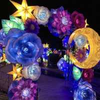 幻想的で煌びやかなイルミネーション✨✨