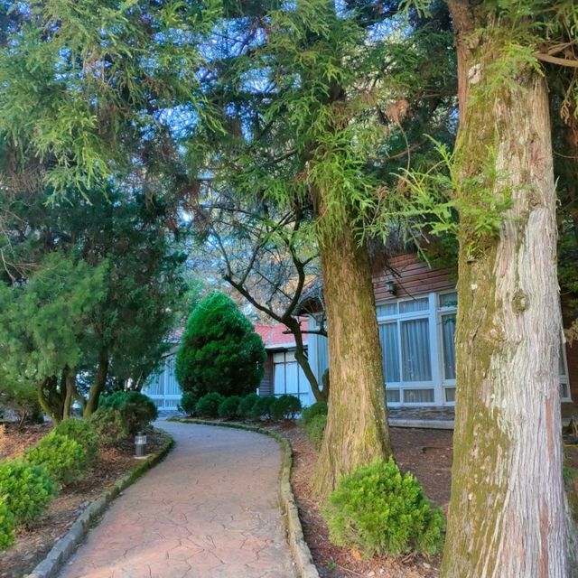 福壽山農場-松廬楓紅