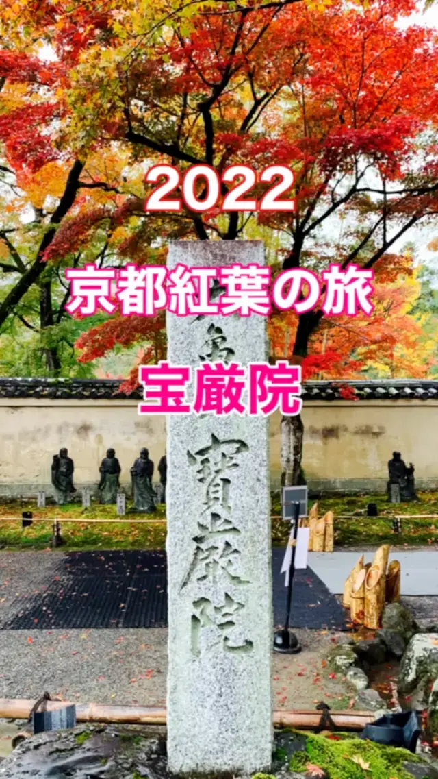 京都　京都観光　京都紅葉の旅2022  宝厳院の紅葉に大満足！