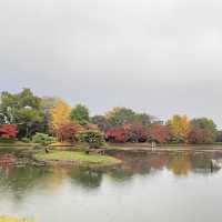 皇室別墅莊園改建而成的寺院 – 大覺寺