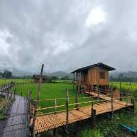 บ้านนอก ฮอกควาย สบายๆ เมืองคอง