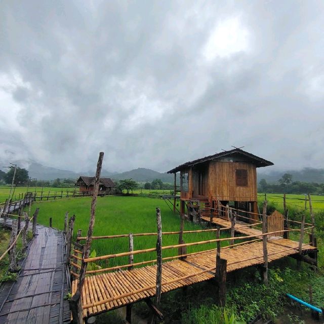บ้านนอก ฮอกควาย สบายๆ เมืองคอง