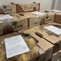 춘천 가면 꼭 가야하는! 카페, 감자밭 ᴗ̈ 