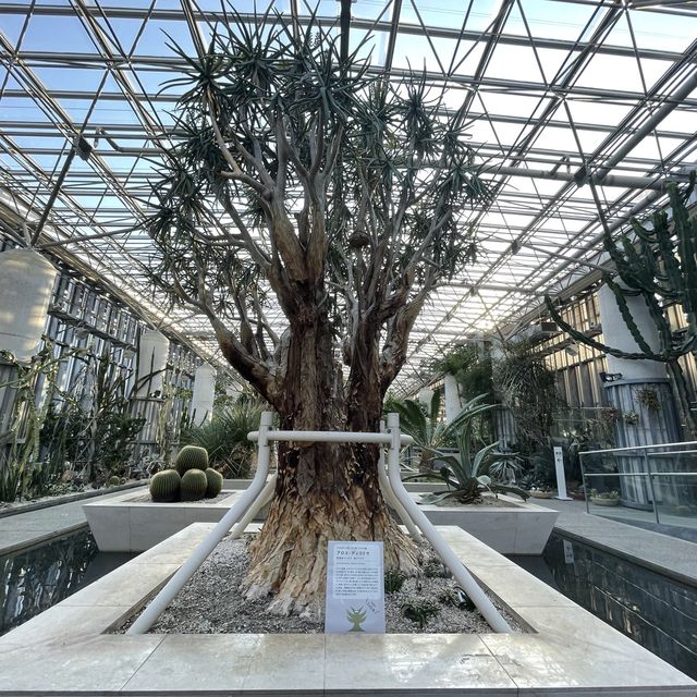 夢の植物園