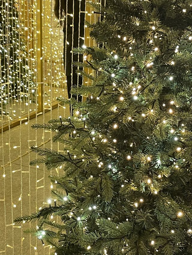 [트리 맛집]영등포 타임스퀘어에서 연말여행🎄🎁
