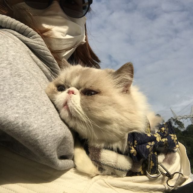貓🐱兒子 親子爬山遊🥰🥰