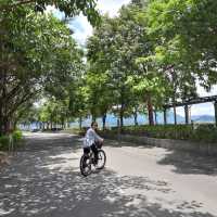 大圍至大埔單車一日遊