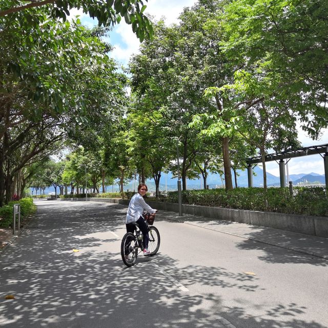 大圍至大埔單車一日遊