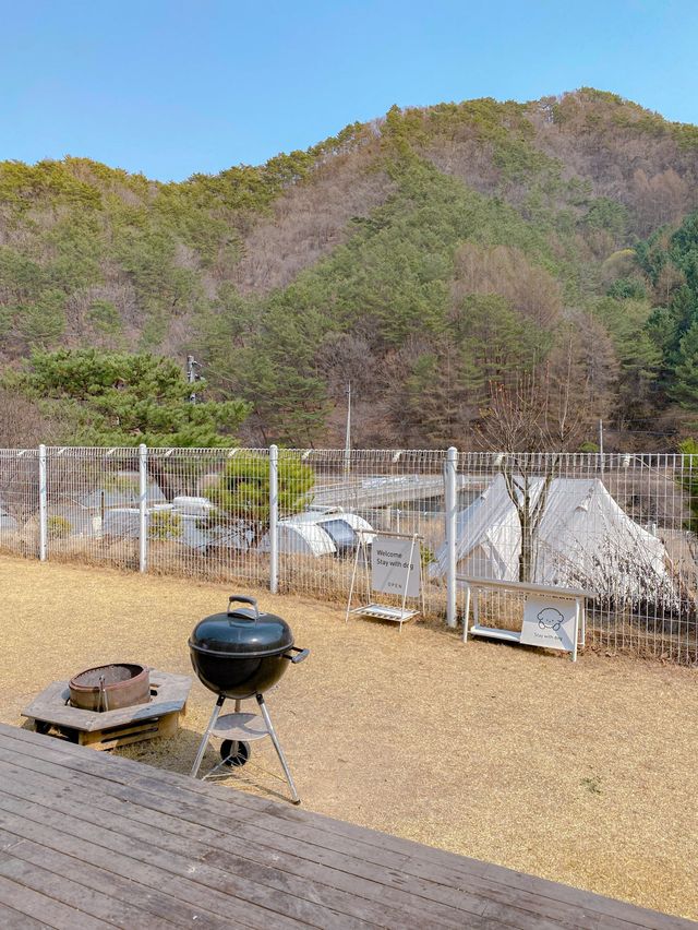 독채 펜션에서 반려견과 함께 힐링하기