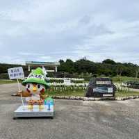 【沖縄・伊江島】まだまだ楽しめる！ユリ満開の公園