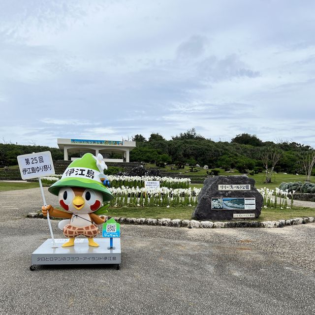 【沖縄・伊江島】まだまだ楽しめる！ユリ満開の公園