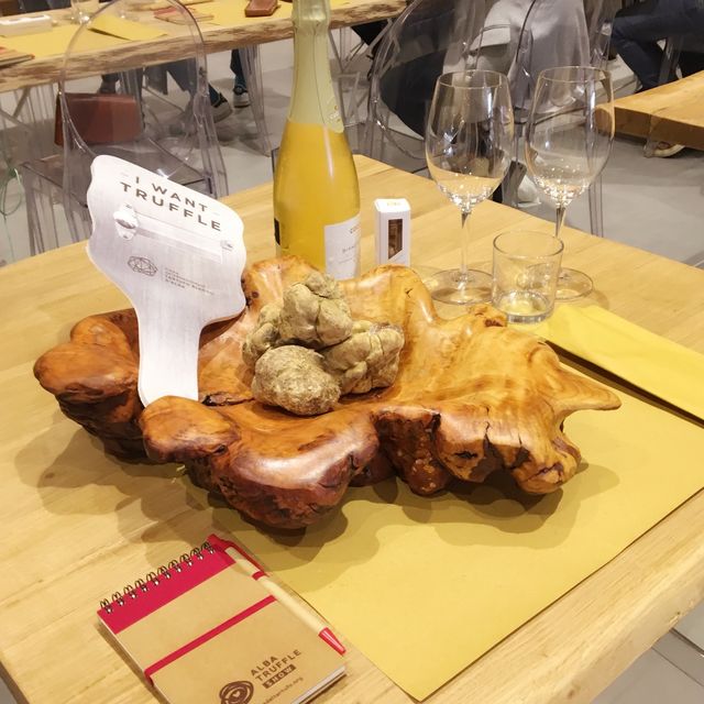  ALBA白松露國際展覽會 