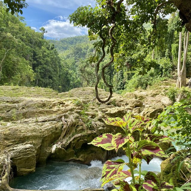 The New Face of Kawasan Falls, Cebu