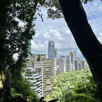 一早登頂象山｜30分鐘搞定、超級爆汗、臺北城市景觀好美