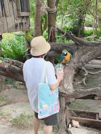 Hello มา Huahin Safari กันเถอะะ!!