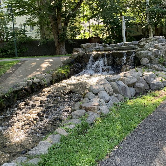 秋空オススメお散歩コース🚶北海道大学