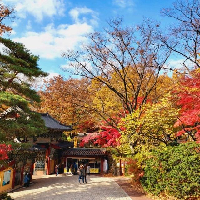 Autumn Foliage at Gilsang Temple