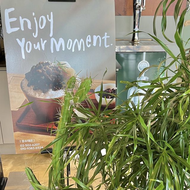 과천에 이런 카페가 있다고!?🌿