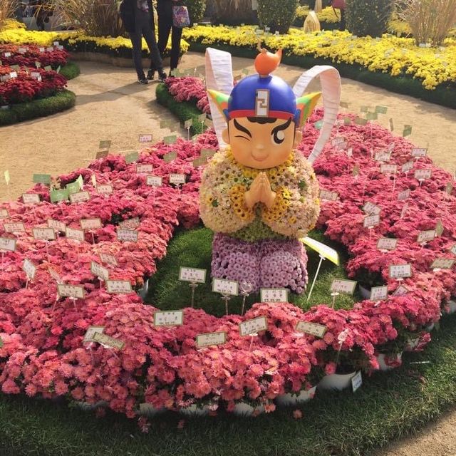 Autumn chrysanthemum festival at this temple