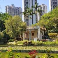 嘆柸咖啡欣賞青衣公園