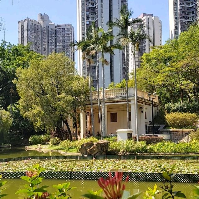 嘆柸咖啡欣賞青衣公園