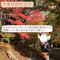 【静岡】御殿場の紅葉狩りスポット「秩父宮記念公園」