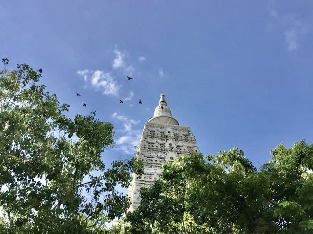 Wat Phai Rong Wua at Suphan Buri