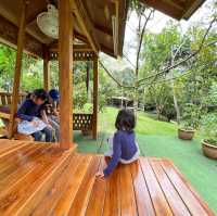 Day Trip - Back to Nature Cafe