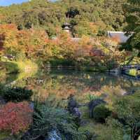 永観堂【メイン観光地よりも落ち着いた雰囲気】