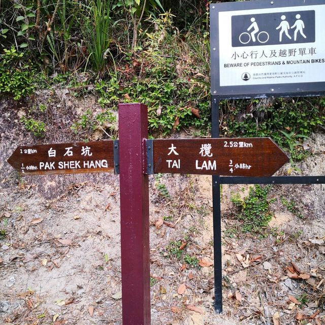 香港千島湖．大欖涌水塘@大欖郊野公園