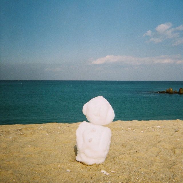 숙소 앞 사근진 해변