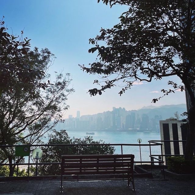 行山超快閃20-30分鐘，市區中既秘密花園🪴-訊號山花園